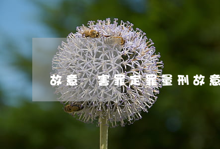 故意傷害罪定罪量刑（故意傷害罪的量刑）