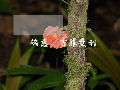 故意傷害罪量刑