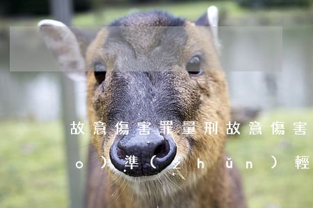 故意傷害罪量刑(故意傷害罪量刑標(biāo)準(zhǔn)輕傷一級(jí),二級(jí))