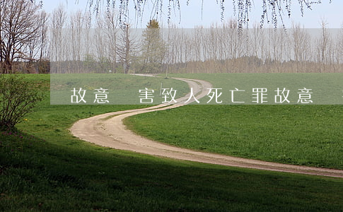 故意傷害致人死亡罪(故意傷害致人死亡罪判決書)