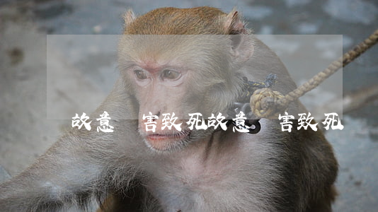 故意傷害致死(故意傷害致死賠償大概多少萬)