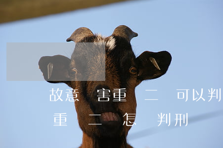 故意傷害重傷二級可以判緩刑嗎(故意傷害罪重傷二級怎樣判刑)