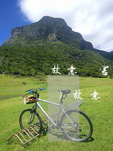 故意傷害量刑標(biāo)準(zhǔn)(故意傷害量刑標(biāo)準(zhǔn)是多少)