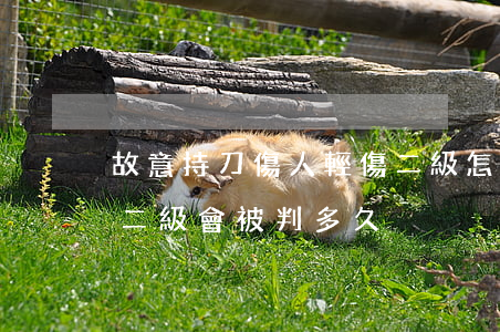 故意持刀傷人輕傷二級怎么判(持刀致人輕傷二級會被判多久)