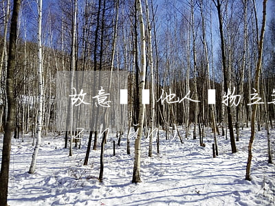 故意損壞他人財物立案標(biāo)準(zhǔn)