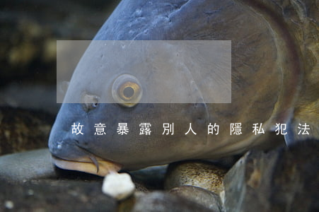 故意暴露別人的隱私犯法嗎