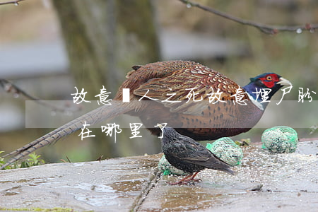 故意殺人之死故意埋尸盼多少年(誤殺死者埋在哪里了)