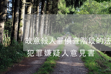 故意殺人罪偵查階段的法律意見書(應當逮捕犯罪嫌疑人意見書)