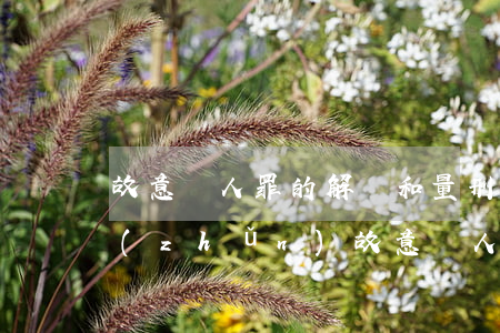 故意殺人罪的解釋和量刑標(biāo)準(zhǔn)（故意殺人罪的構(gòu)成要件）
