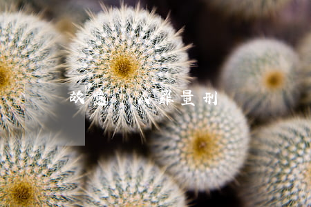 故意殺人罪量刑