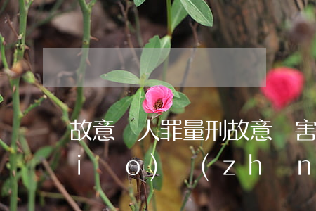 故意殺人罪量刑(故意傷害他人罪量刑標(biāo)準(zhǔn))