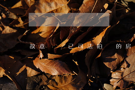 故意毀壞已司法拍賣的房屋如何處理？