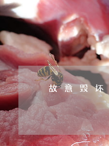 故意毁坏财物可不可以立案？