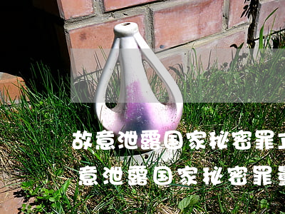 故意泄露国家秘密罪立案标准_2021故意泄露国家秘密罪量刑标准和认定构成要件