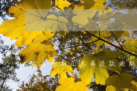 故意逾期几天再还款(逾期几天又还了有影响吗)