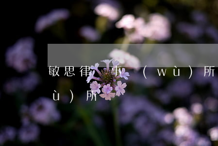 敏思律師事務(wù)所(敏思律師事務(wù)所電話)
