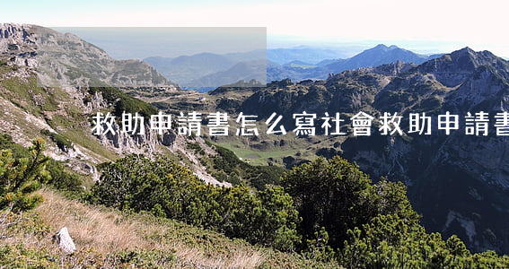 救助申請書怎么寫(社會救助申請書怎么寫)