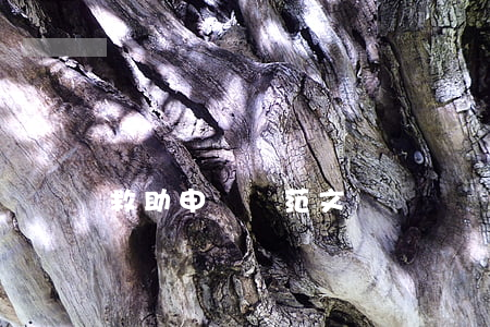 救助申請書范文