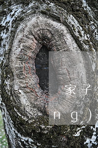 敗家子欠巨額網(wǎng)貸(欠網(wǎng)貸申請(qǐng)破產(chǎn))