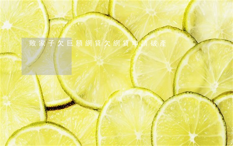 敗家子欠巨額網貸(欠網貸申請破產)