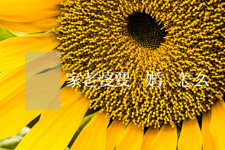 敗家老婆要離婚該怎么辦