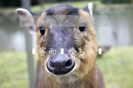 敗家而離婚怎么辦