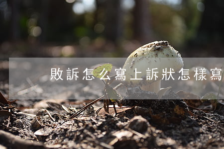 敗訴怎么寫上訴狀(怎樣寫上訴狀,成功案例)