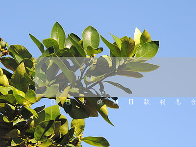 敗訴方逾期還款利息(合同糾紛逾期付款利息)