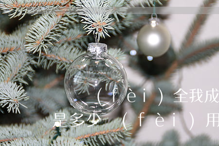 敗訴費(fèi)全我成擔(dān)一般是多少費(fèi)用?(法律敗訴要承擔(dān)多少費(fèi)用)
