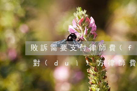 敗訴需要支付律師費(fèi)嗎(敗訴要付對(duì)方律師費(fèi)嗎)