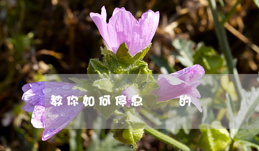 教你如何停息掛賬的視頻