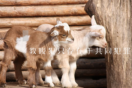 教唆犯只存在于共同犯罪里嗎