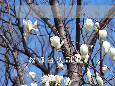 教师合法副业