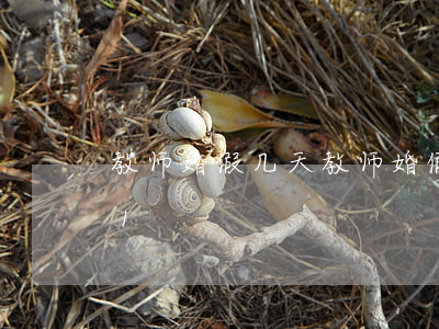 教师婚假几天(教师婚假几天国家法定2021)