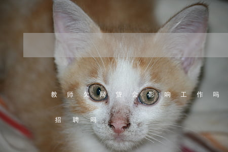 教师欠网贷会影响工作吗(网贷逾期影响教师招聘吗)