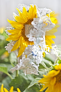 教师薪级工资