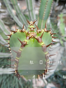 教師招聘政審網(wǎng)貸逾期過還能考嗎-教師政審有網(wǎng)貸正在還 但沒逾期
