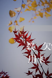 教師欠信用卡會影響工作嗎（幼兒園老師欠信用卡）