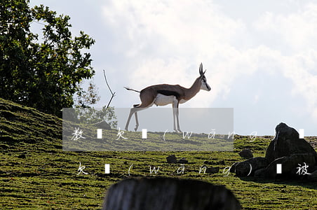 教師欠網(wǎng)貸家長遭威脅(教師因欠網(wǎng)貸被辭退)