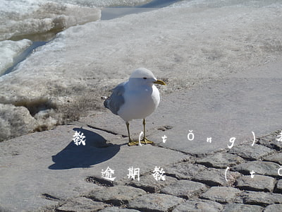 教師統(tǒng)考政審網(wǎng)貸逾期(教師統(tǒng)考政審網(wǎng)貸逾期)