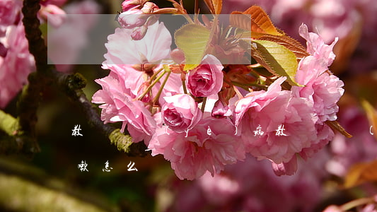 教師職業(yè)病(教師職業(yè)病咳嗽怎么辦)