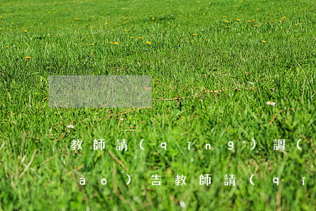 教師請(qǐng)調(diào)報(bào)告(教師請(qǐng)調(diào)報(bào)告的寫法)