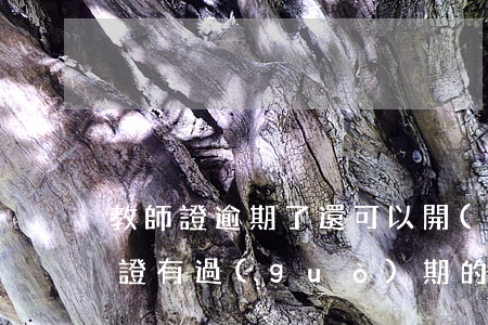 教師證逾期了還可以開(kāi)車嗎(教師證有過(guò)期的嗎)