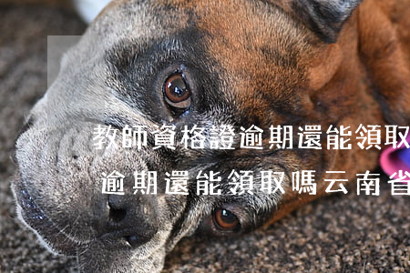 教師資格證逾期還能領取嗎云南(教師資格證逾期還能領取嗎云南省)