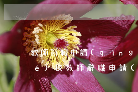 教師辭職申請(qǐng)書(私立學(xué)校教師辭職申請(qǐng)書)