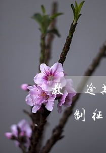教師逾期二個(gè)月征信受影響嗎(教師編制征信上顯示有過逾期)