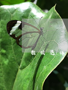 教授退休年齡