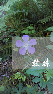 教练太凶有法律吗(教练太凶怎么办)