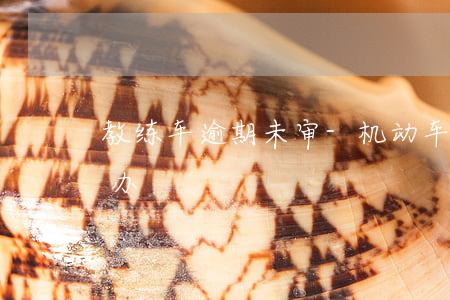 教练车逾期未审-机动车教练证过期没审咋办