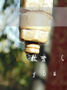 教育優(yōu)惠能分期免息嗎(教育優(yōu)惠能分期付款嗎)